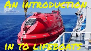 How to operate a Davit launch type Lifeboat and How to Launch it What is equipment is on board 🔝⚓🌊 [upl. by Eldoree]