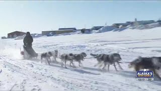 Dallas Seavey closing on record 6th Iditarod title [upl. by Dettmer]