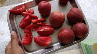 red apricot प्लम और खुमानी का मिक्स रूप नाम है पलम कोट9418639010 [upl. by Eiramyma]