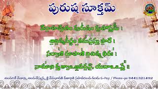 Powerful Purusha Suktam with Telugu Lyrics  తెలుగులో శక్తివంతమైన పురుష సూక్తం  Basara svbp [upl. by Aloysia]