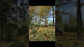 Moshannon State Forest North Run Equestrian campsite 2024 Pennsylvania [upl. by Cired940]