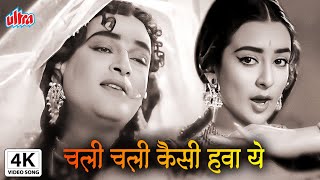 4K चली चली कैसी हवा ये  Chali Chali Kaisi Hawa Yeh  Bluff Master  Shammi Kapoor Saira Banu [upl. by Sutsuj]