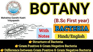 BSC First Year Botany  Botany First PaperStructure of BacteriaGram Ve amp Gram Ve Bacteria [upl. by Moyers449]