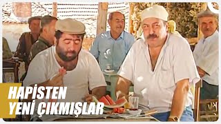 Köyün Ağır Abileri Hıdır ve Haydar  Yazlıkçılar Özel Sahneler [upl. by Evyn]