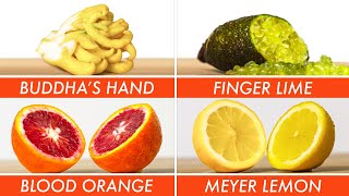 Trying Every Type Of Citrus  The Big Guide  Epicurious [upl. by Orfurd]