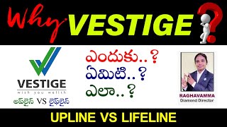 Vestige  Voice of the Leader  Raghavamma  Daimond Director [upl. by Dublin]