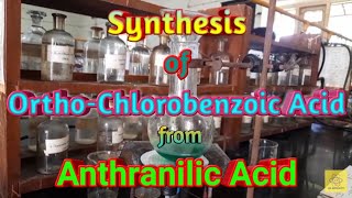 Synthesis of OrthoChlorobenzoic Acid from Anthranilic acid [upl. by Schlessel]