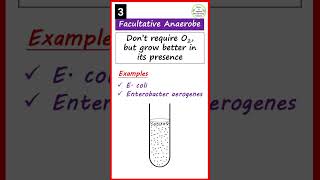 Obligate Aerobe amp Anaerobe  Facultative Anaerobe  Aerotolerant Anaerobe Microaerophiles  shorts [upl. by Ama]