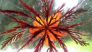 DIY Fall Decor Autumn Leaves Stained Glass or Sun Catcher Craft Easy [upl. by Winnah]