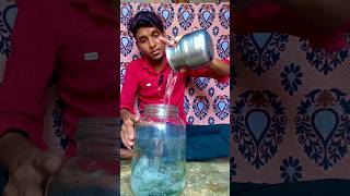 How to culture artemia tamil kolathurfishmarket trending bettafish guppyfish artemia moina [upl. by Yrret]