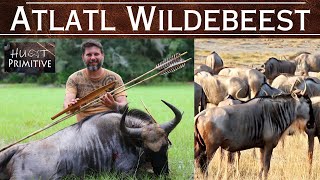 Wildebeest Primitive Hunting  Atlatl  Bow amp Arrow [upl. by Nicky]