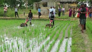 power weeder  Power weeding in Paddy Cultivation [upl. by Kerman538]