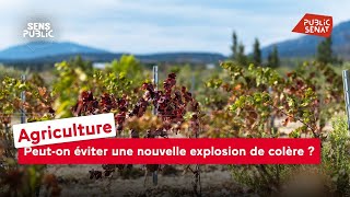 Agriculture  peuton éviter une nouvelle explosion de colère [upl. by Aileahcim]