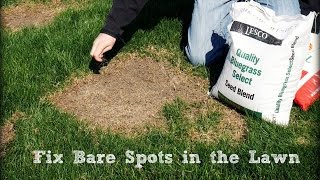 How To Seed And Repair Bare Spots in the Lawn [upl. by Ecadnarb]