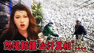 文化滅絕強迫勞動 維吾爾族美女提到新疆現況越講越氣直呼quot有病吧quot 寒國人 [upl. by Raffarty56]