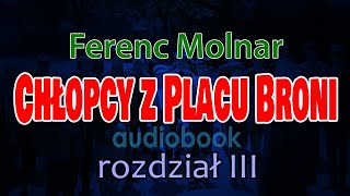 Chłopcy z Placu Broni Ferenc Molnar  audiobook PL  rozdział 310 [upl. by Sitoiganap]