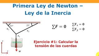 Cómo calcular la tensión de las cuerdas  1ra Ley de Newton [upl. by Llerehc411]