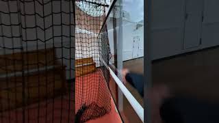 Holland America  Cruise Ship Zaandam  Deck 9 Crows Nest amp outdoor play courts  Quick Overview [upl. by Stanislaw]