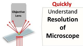 Resolution of a Microscope [upl. by Yruam]