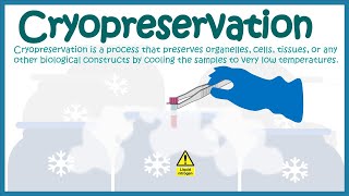 Cryopreservation  application and mechanism [upl. by Philip316]