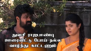 துளசி ராஜபாண்டி ஊரைவிட்டு போய் நல்ல வாழ்ந்து காட்டணும் 🔥👌 Vanathai Pola Serial Review [upl. by Ahsla943]