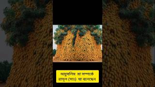 অমুসলিম মা সম্পর্কে রাসূল সাঃ যা বলেন। omuslim ma kahealthandislam ma shortsfeed video [upl. by Fred500]