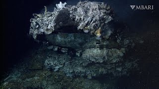 Revealing the stunning landscapes of deepsea hydrothermal vents [upl. by Otirecul]