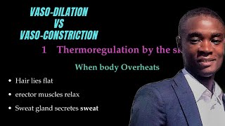 Homeostasis Vasodilation Vs Vasoconstriction [upl. by Stretch]