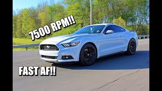 VMP Tuned 2017 50 REVS TO 7500 RPM [upl. by Ahtabbat]