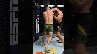 What a submission shortsfeed ufc [upl. by Alyekahs]