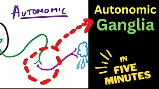 AUTONOMIC ganglia  In FIVE Minutes [upl. by Chan]