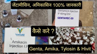 Genta Amikacin Injection for Poultry  इंजेक्शन की डोज़ कैसे बनाएं  Tylosin For Broiler [upl. by Sabu718]