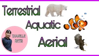 Terrestrial Aquatic and Aerial Animals  Zhanelle Betis [upl. by Gamali]