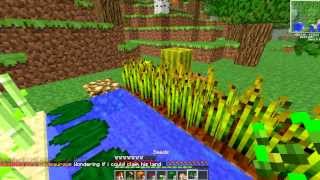 Herbalism MCMMO Spotlight 172 McMMO Tutorial Herbalism Grinder and benefits of Herbalism [upl. by Liamsi625]