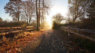 Wapato Hills Park on a cold Thanksgiving morning [upl. by Langill]