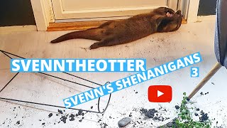 SvennTheOtter shenanigans VOL 3 [upl. by Rakel]