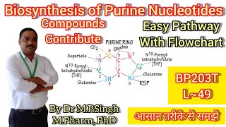 Biosynthesis of Purine Nucleotides  IMP AMP amp GMP  Biochemistry  BP203T  L49 [upl. by Anyar]