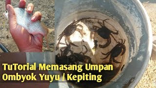 Umpan Ulat Kandang Bikin Ngumpul Ikan Tawes Sirip Merah amp Kepek [upl. by Adalia965]