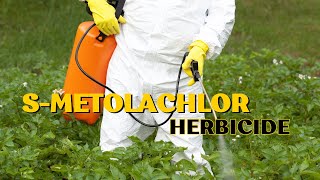 Understanding SMetolachlor Effective Weed Control in Agriculture herbicide formulation [upl. by Kiryt703]