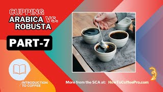 Part 7  SCA Introduction to Coffee CourseCupping Arabica vs Robusta Species [upl. by Onailil]