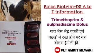 Bolus biotrim Ds uses in cattleVeterinary bolus Trimethoprim amp sulphadiazine सम्पूर्ण जानकारी [upl. by Surbeck]