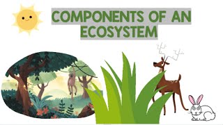 Components of an Ecosystem  Biology Animation [upl. by Carn764]