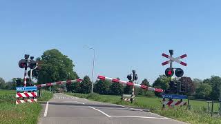 Spoorwegovergang Beltrum  Dutch railroad crossing [upl. by Belita682]