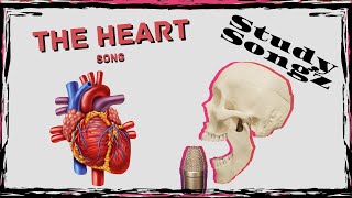 Heart Anatomy Song  Study Songz  Heart Blood Flow and Conduction [upl. by Ilario]