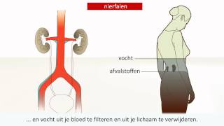 Nieraandoening  Oorzaak en behandeling [upl. by Cirri85]