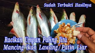 RACIKAN UMPAN PALING JITU MANCING IKAN LAWANG  PATIN LIAR DAN JUGA IKAN KELABAU [upl. by Cryan332]