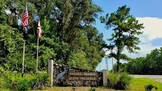 Paynes Prairie Preserve State Park [upl. by Verile]