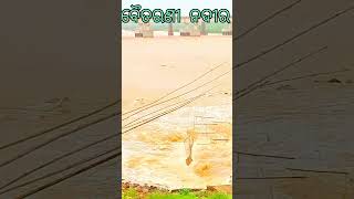 ବୈତରଣୀ ନଦୀର  Barrage On Baitarani sort video [upl. by Wessling]