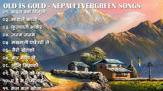 Nepali Evergreen Songs collection  Nepali Old is Gold songs  Nepali old song  Night alone song [upl. by Eelyah783]