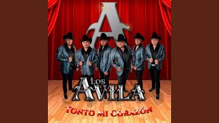 Tonto Mi Corazon [upl. by Eitisahc]